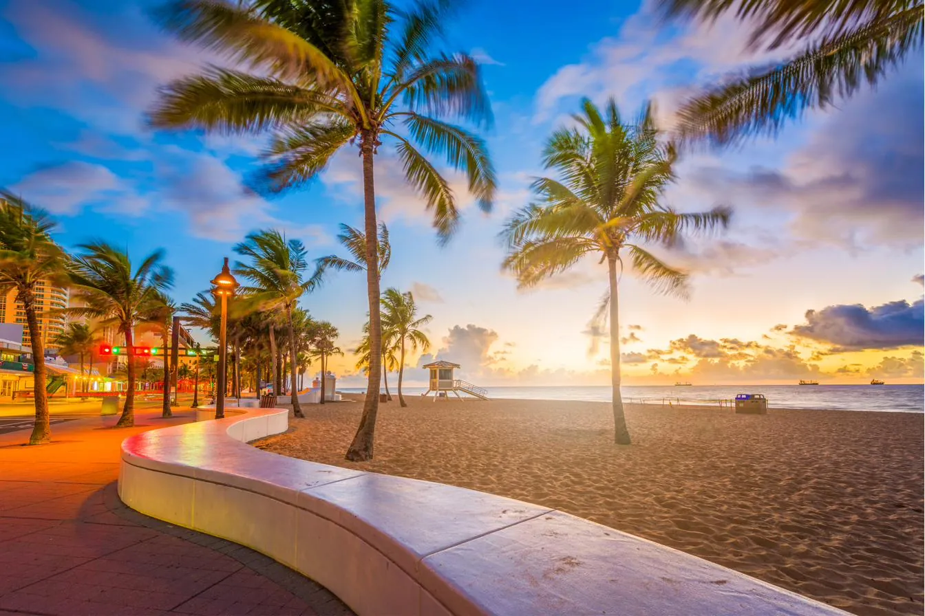 Palm trees on a South Florida beach at sunset